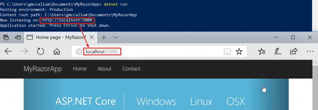 dotnet run myrazorapp