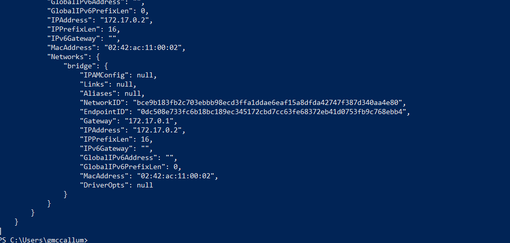 Docker Inspect Container